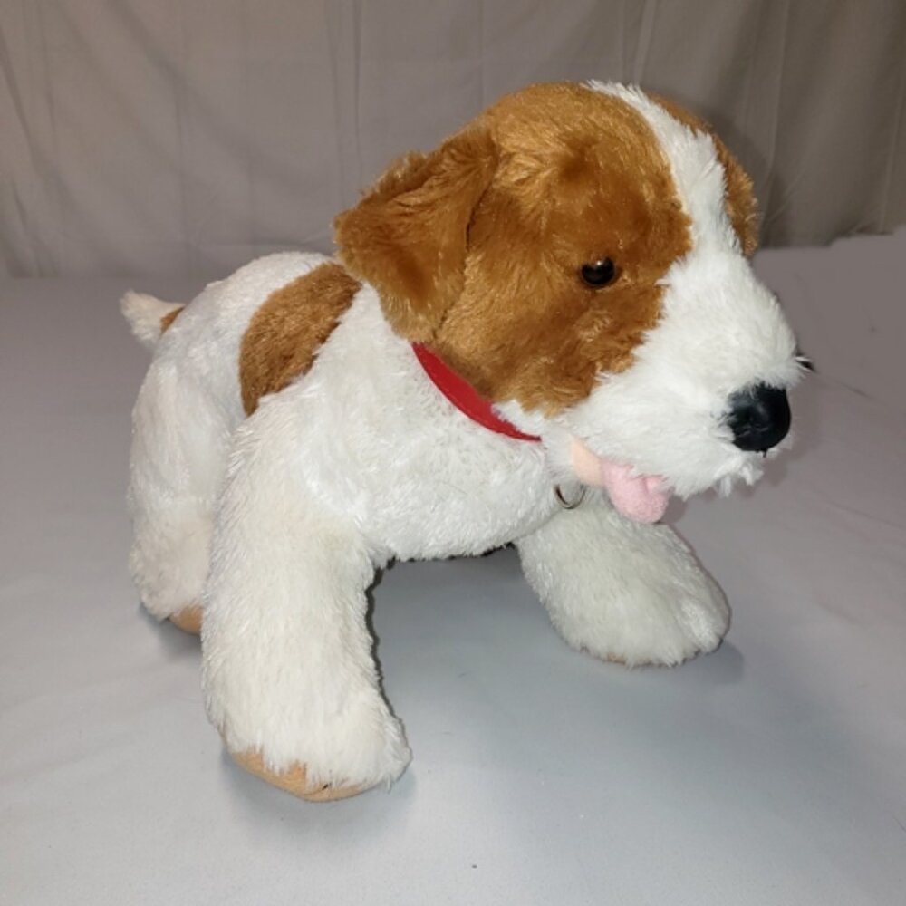 17" 12/2009 Jack Russell Terrier BAB with Collar